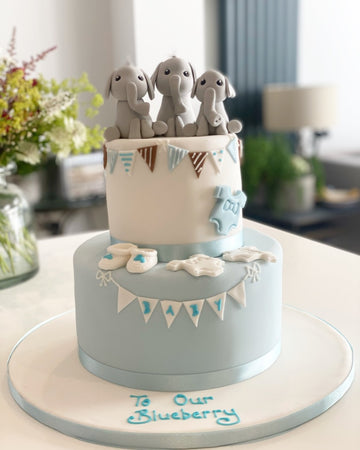 2 tier Christening cake decorated with elephants and bunting and baby cloths