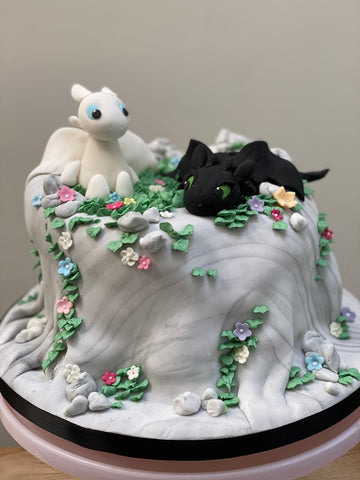 How to train your dragon themed birthday cake with both the black and white dragons